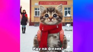 (алгебра англисик история математика русский физика школа рисование информатека физ-ра) все части