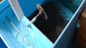 Инкубатор икры Осетр