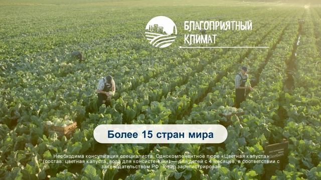 Секреты качества Gerber®. Почему мы выращиваем груши в Италии?