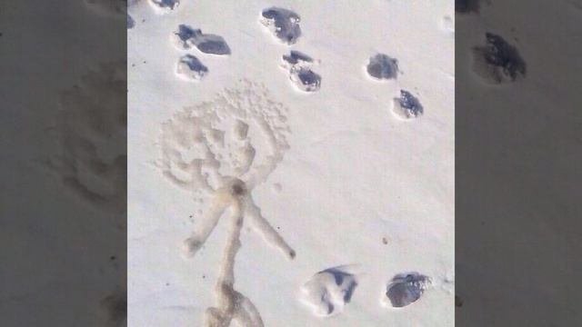 Отопление