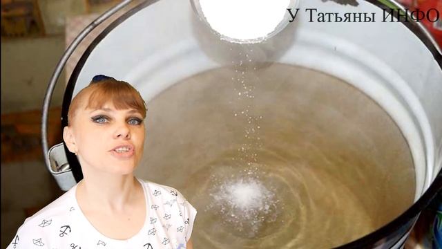 Чем подкормить СВЕКЛУ для НЕБЫВАЛОГО УРОЖАЯ ?! Чем подкормить свеклу, если она плохо растет ?!