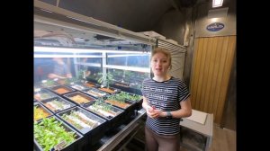 SIRIUS-23  Эксперимент в оранжерее (070524)