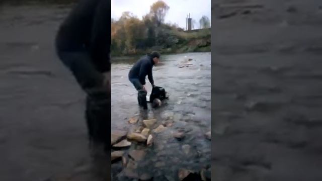 Второй труп найден на реке в Усть-Куте смотреть онлайн