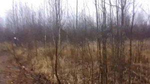 Мц 20-01 пуля люман и стрела через кусты.дробь 4 и 5