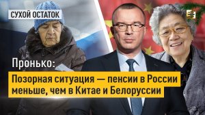 Пронько: Позорная ситуация — пенсии в России меньше, чем в Китае и Белоруссии