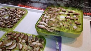 Как сушить грибы на зиму в электросушилке. Подберёзовики.