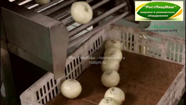 Очистки лука от шелухи SQY смотреть онлайн