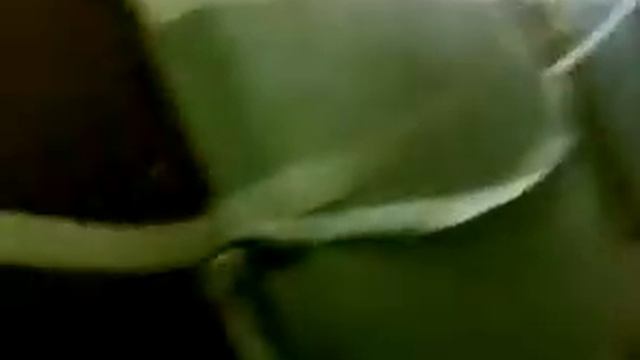 Паутина из Туалетной бумаги смотреть онлайн