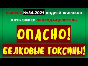 Белки. Отравление. Токсикоз. Лихорадка. Отёки. Помощь. Организм чище, а провокаций больше, почему?