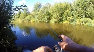 Dayo PRESTIGE. Мормышинг на монолеске.