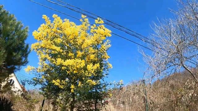 "Сегодня праздник у девчат..." смотреть онлайн