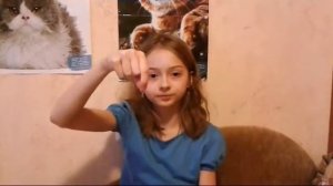 Дрессировка шиншиллы. Возможно?