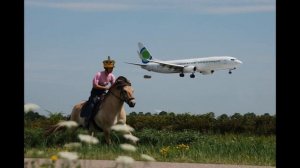 У лукоморья дуб срубили Автор А. С. Пушкин, обработка Л. Сухарева, читает П. А. Толстых. Пoдпишиcb.