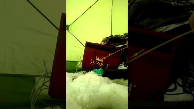 Рыбалка озеро изменчивое поиск корюшки малоротки. смотреть онлайн