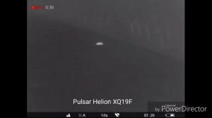 Pulsar Helion XQ19F Wildboar, Wildschwein,Yaban domuzu