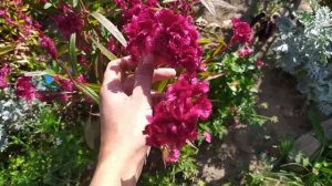 Подготовка суглинистой и глинистой почвы к зиме. Повышаем плодородие почвы