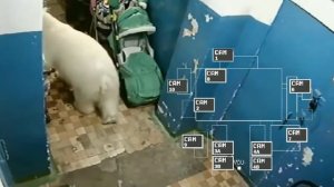 5 ночей в подъезде (3) ночь.