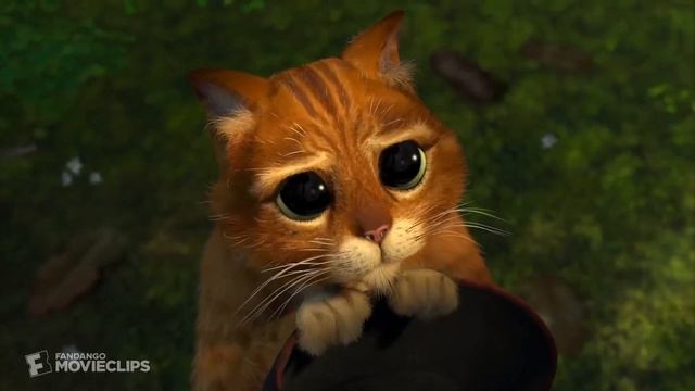 Взгляд кота из шрека