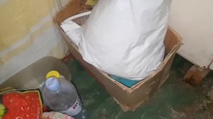 Большой таракан удрал от меня. Борьба с тараканами