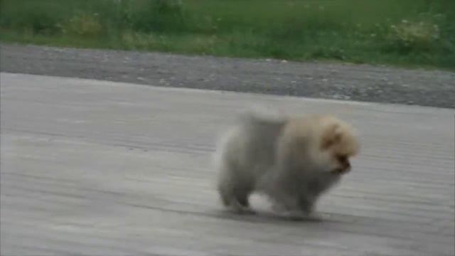 Комочек счастья смотреть онлайн