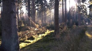 ? Встреча со странным отшельником в глухой тайге!