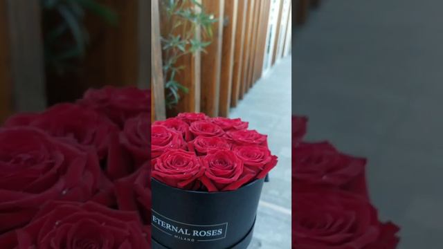 Rose Rosse by Eternal Roses Milano #roses #rose #milano #eternalrosesmilano