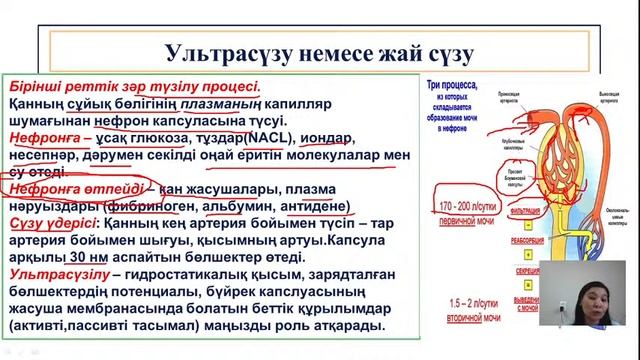 Биология . Кожахметова Нуржамал смотреть онлайн