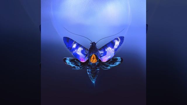 Дай мне лицо твоё I Found You