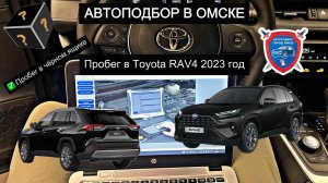 Автоподбор Омск | Пробег Toyota RAV4 | Подбор авто Омск | Помощь при покупке авто Омск