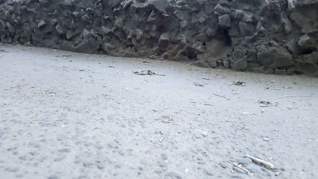 Атака! Захват гусеницы! смотреть онлайн