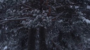 «Снег за окном», Дмитрий Григорьев, Dmitry Grigoryev, Snow behind the window