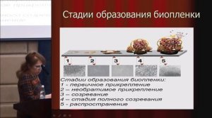 Храпунова И.А., Профилактика ИСМП у урологической практике.