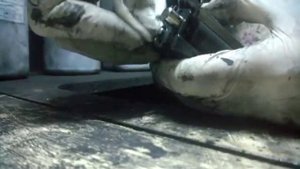 1 Заправка тонер картриджа brother TN-2275, TN-2090, TN-2235