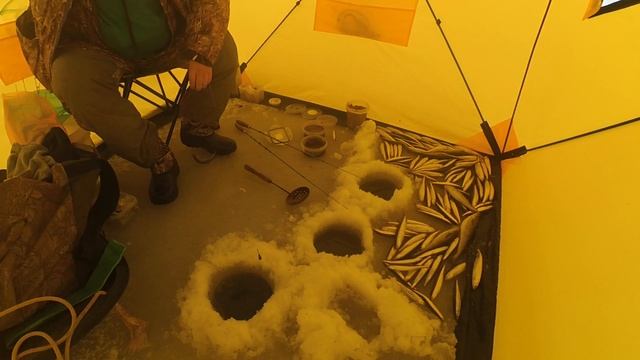 КОРЮШКА С ПРИЛОВОМ НАВАГИ | ЗИМНЯЯ РЫБАЛКА 2019 смотреть онлайн