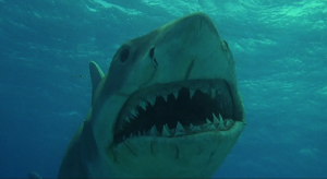 Челюсти. Кровавый Риф. Официальный Трейлер