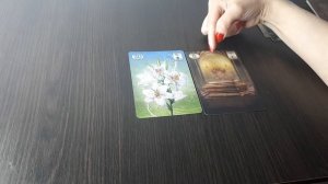 ЛИЛИИ, Ленорман. Часть 1.