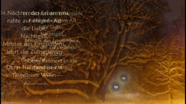 Lyrik - Raymond Hummy Art - Harmonia artificiosa - ariosa Heinrich Ignaz Franz von Biber