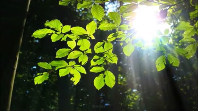 Диалог (разговор) старика и того, кто Свыше... смотреть онлайн