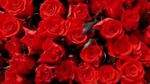 Это любовь, Божья любовь (Cover)