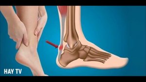 Далалоян - Путь к чемпионству