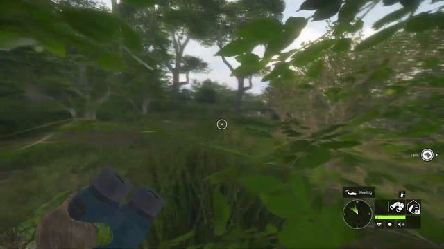 The hunter call of the wild - Vurhonga Savanna смотреть онлайн