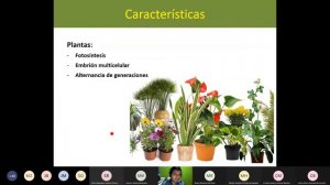 Tutoría Capítulos 21 y 22 Curso Biología General UNED