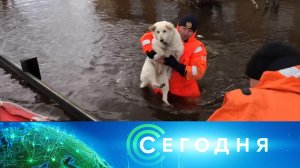 «Сегодня»: 20 мая 2024 года. 10:00 | Выпуск новостей | Новости НТВ