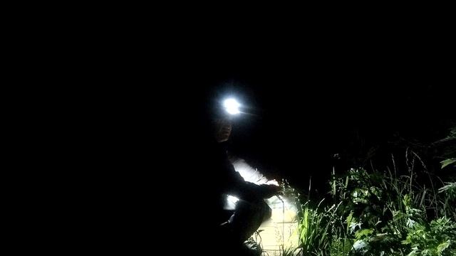 Ночная ловля леща на фидер. Night fishing for bream feeder