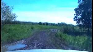 деревня Калитино, Сокольский район, Вологодская область