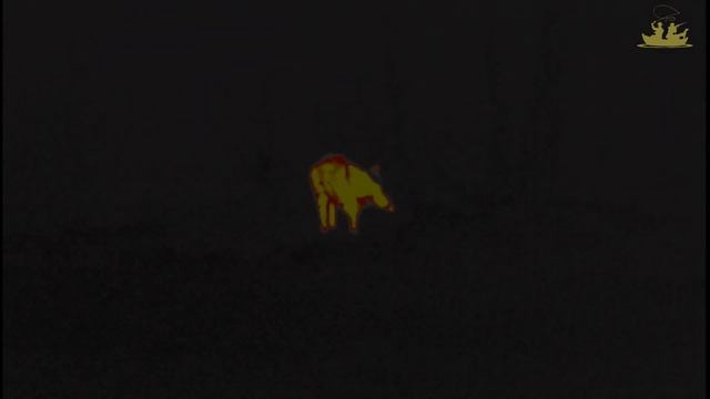 Реальная Охота Зимой! Ходовая охота на оленя 2020 смотреть онлайн