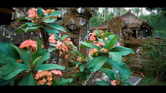 Tegalalang рисовые террасы. Pura Gunung Kawa Sebatu. Candi Tebing Gunung Kawi. Bali