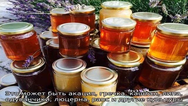 Ароматный и уникальный цветочный мед — полезные свойства и противопоказания смотреть онлайн