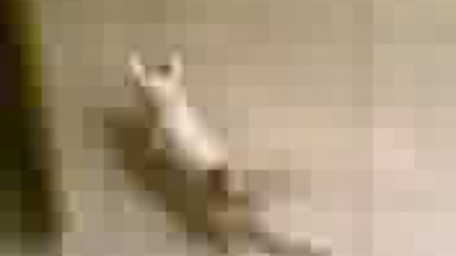 танк