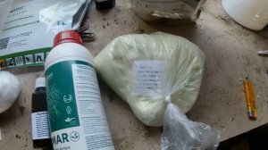 подкормка молодой рассады клубники.